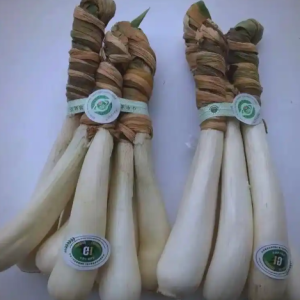 莱芜传统农业产业：地域特色引领的富民根基